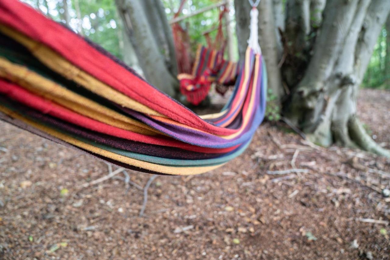Gite Calypso De 14 Personnes Fecamp Etretat Colleville Kültér fotó